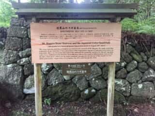 出羽三山 羽黒山のスギ並木