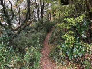 筑波山自然研究路