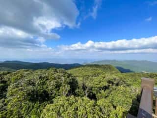 奄美大島 湯湾岳