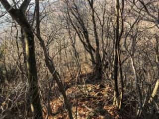 榛名山