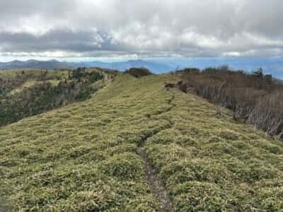 土佐矢筈山・小桧曽山