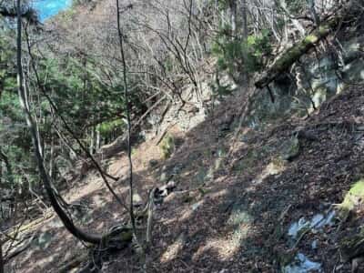 黒笠山