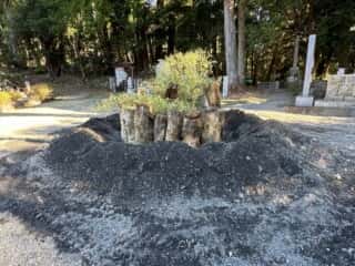 四国八十八ヶ所霊場 第26番札所 金剛頂寺