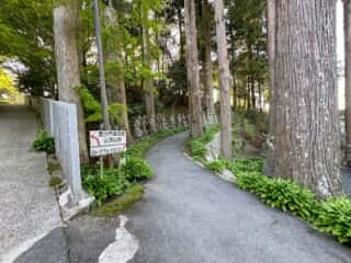 四国八十八ヶ所霊場 第66番札所 雲辺寺