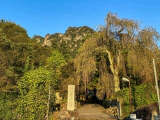 妙義神社 参道