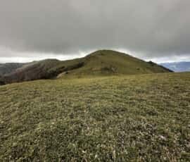 土佐矢筈山