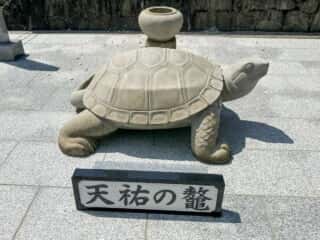 四国八十八ヶ所霊場 第66番札所 雲辺寺