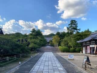 仁和寺　参道