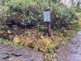 八幡平登山道