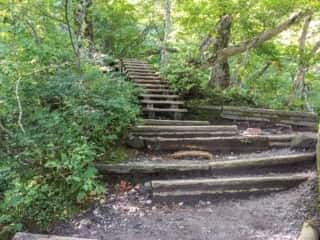 大山登山道