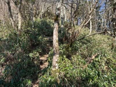 寒峰・烏帽子山