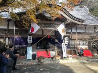 黄金山神社　拝殿