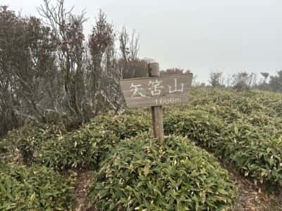 土佐矢筈山・小桧曽山