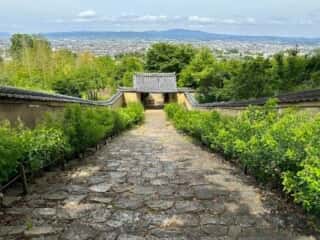 白毫寺