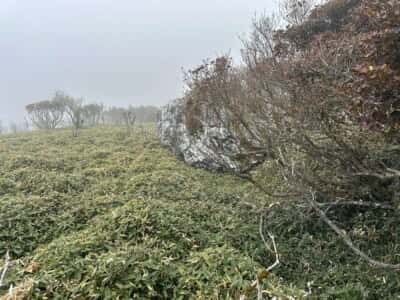 土佐矢筈山・小桧曽山