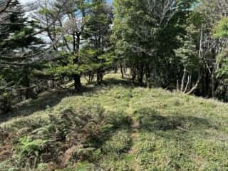 矢筈山・石堂山