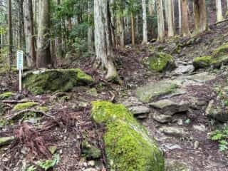 急斜面が続く藤井寺から焼山寺への遍路みち