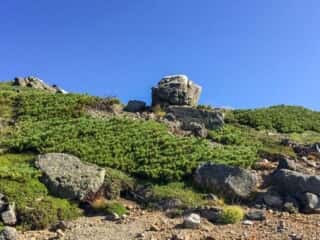 御前峰 白山登山道の巨石