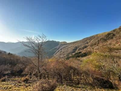 那賀川源泉
