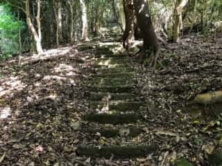 坂谷神社（鳥取県）の坂谷権現へと向かう階段の参道