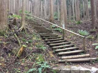 山上ヶ岳（大峯山）登山道