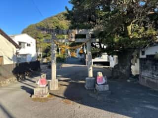 四国八十八ヶ所霊場 第25番札所 津照寺〜第26番札所 金剛頂寺