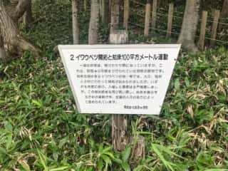 知床五湖 地上遊歩道