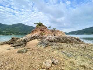奄美大島 久場立神 千年松跡地