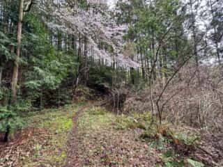 四国八十八ヶ所霊場 第41番札所 龍光寺〜第42番札所 仏木寺