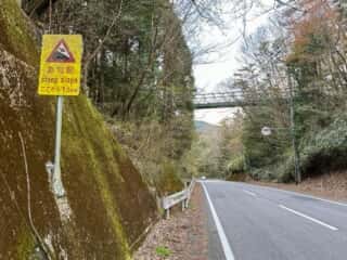 四国八十八ヶ所霊場 第45番札所 岩屋寺〜いやしの宿八丁坂