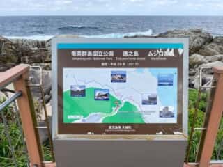 徳之島 ムシロ瀬