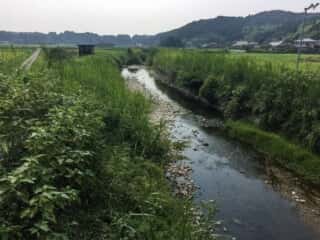 船木神社沿いの川
