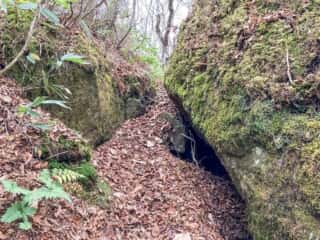 石上登山道