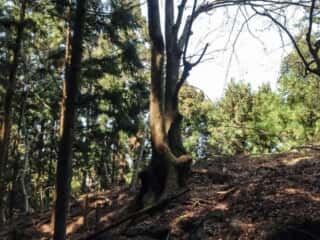 石尾神社　手前巨石上