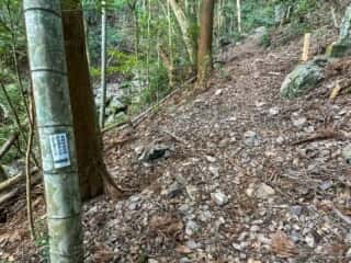 四国八十八ヶ所霊場 第36番札所 青龍寺奥の院