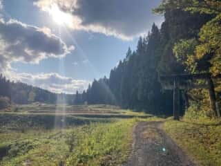 七高山登山道