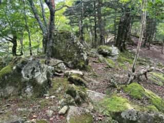 赤帽子山・中尾山