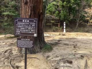 毛越寺　講堂跡