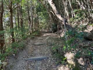 四国八十八ヶ所霊場 第25番札所 津照寺〜第26番札所 金剛頂寺
