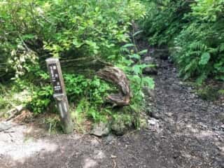羅臼岳登山道