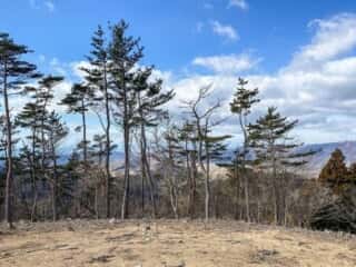 石投山 黒森山 登山道