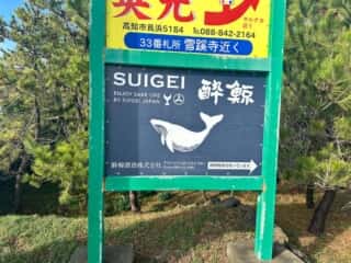 四国八十八ヶ所霊場 第32番札所 禅師峰寺～第33番札所 雪蹊寺