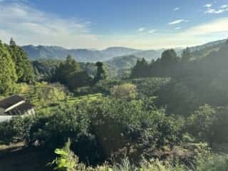 旭ヶ丸・大川原高原