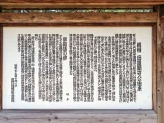 橘祖　田道間守公由来