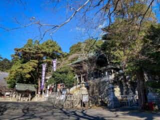 黄金山神社　境内