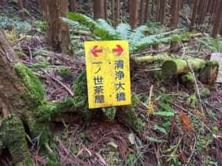 山上ヶ岳（大峯山）登山道