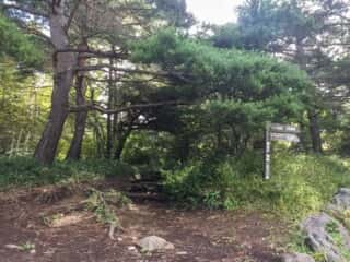 権現岳登山道