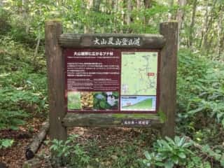 大山登山道