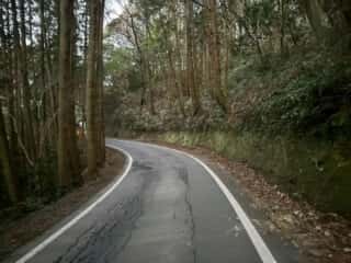 四国八十八ヶ所霊場 第37番札所 岩本寺～第38番札所 金剛福寺