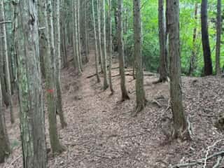 友内山